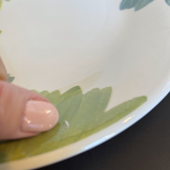 Crate and Barrel Gerber Daisy Buffet Plate   Made in Italy - Picture 11 of 14